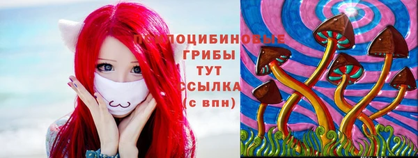 Альфа ПВП Алзамай